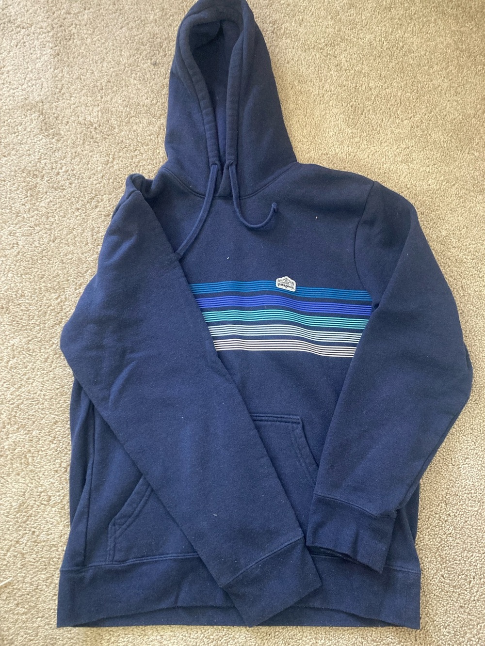 Patagonia Navy Hoodie with Blue and Teal Stripe Chest